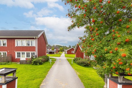 Foto av lägenheten
