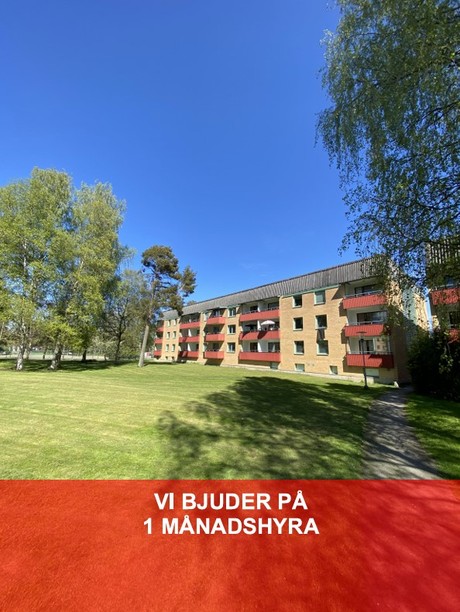 Foto av lägenheten