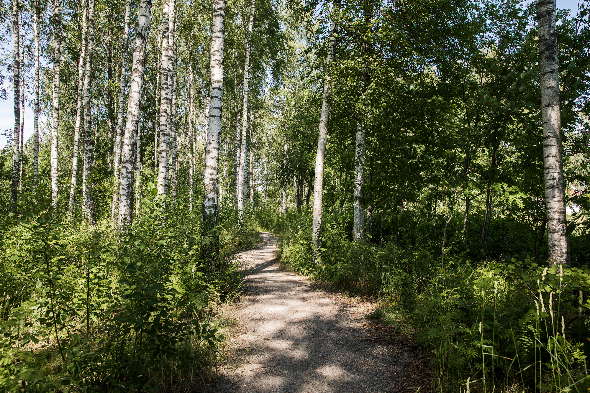 Södra Belltorpsvägen 21 — bild 5