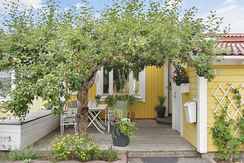 Småbjörksvägen 45 — bild 2