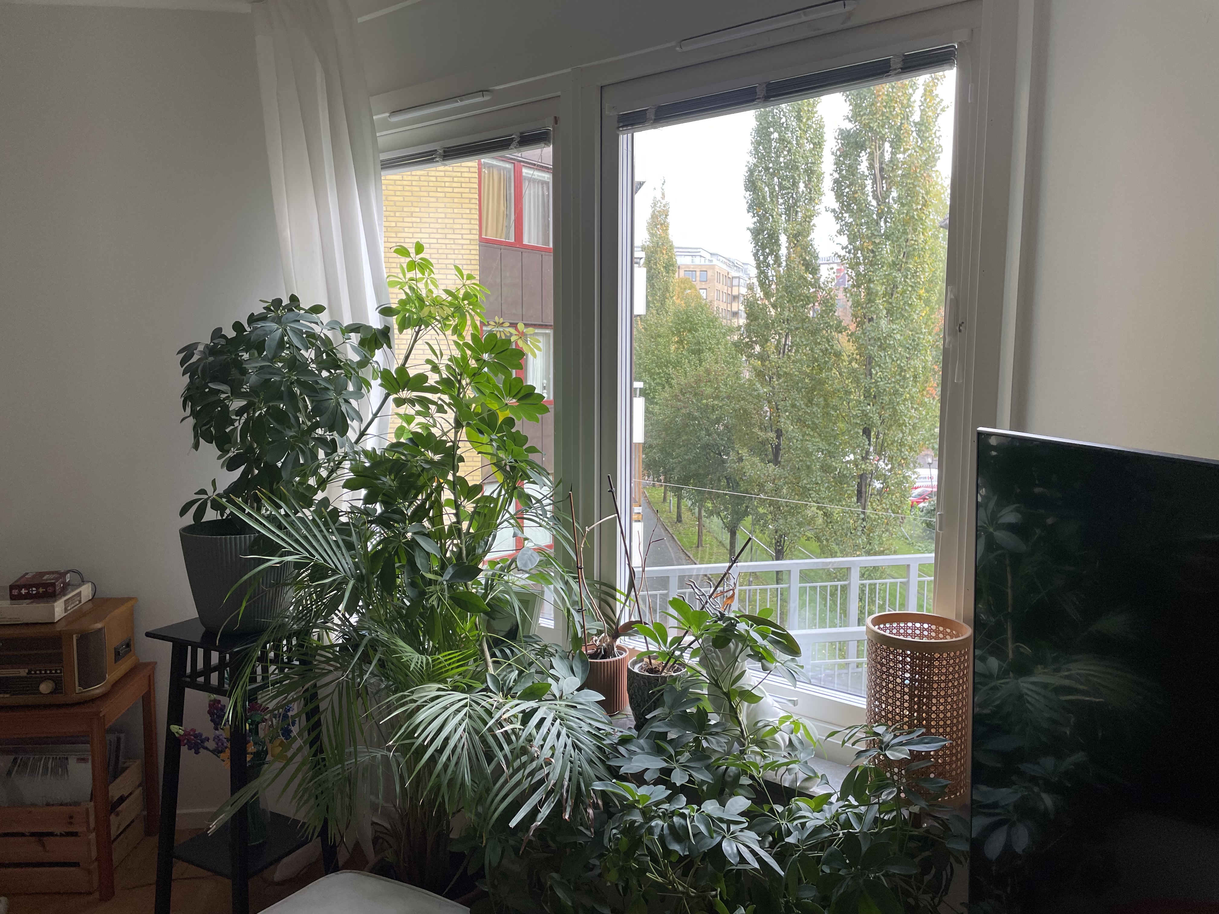 Västergatan 19 – bild 2