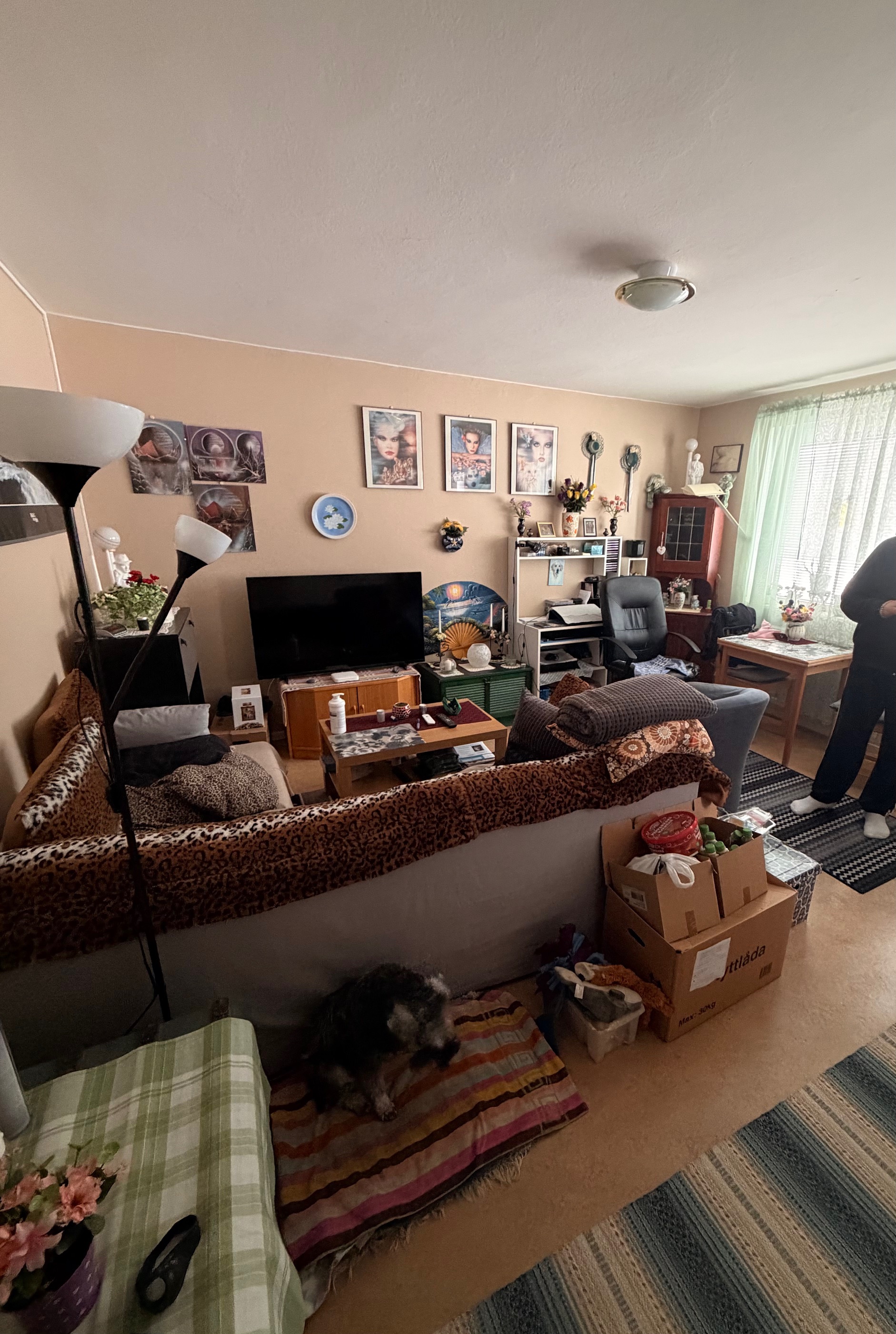 1 rum Skärholmen — 5 974 kr/mån | Bostadsögat