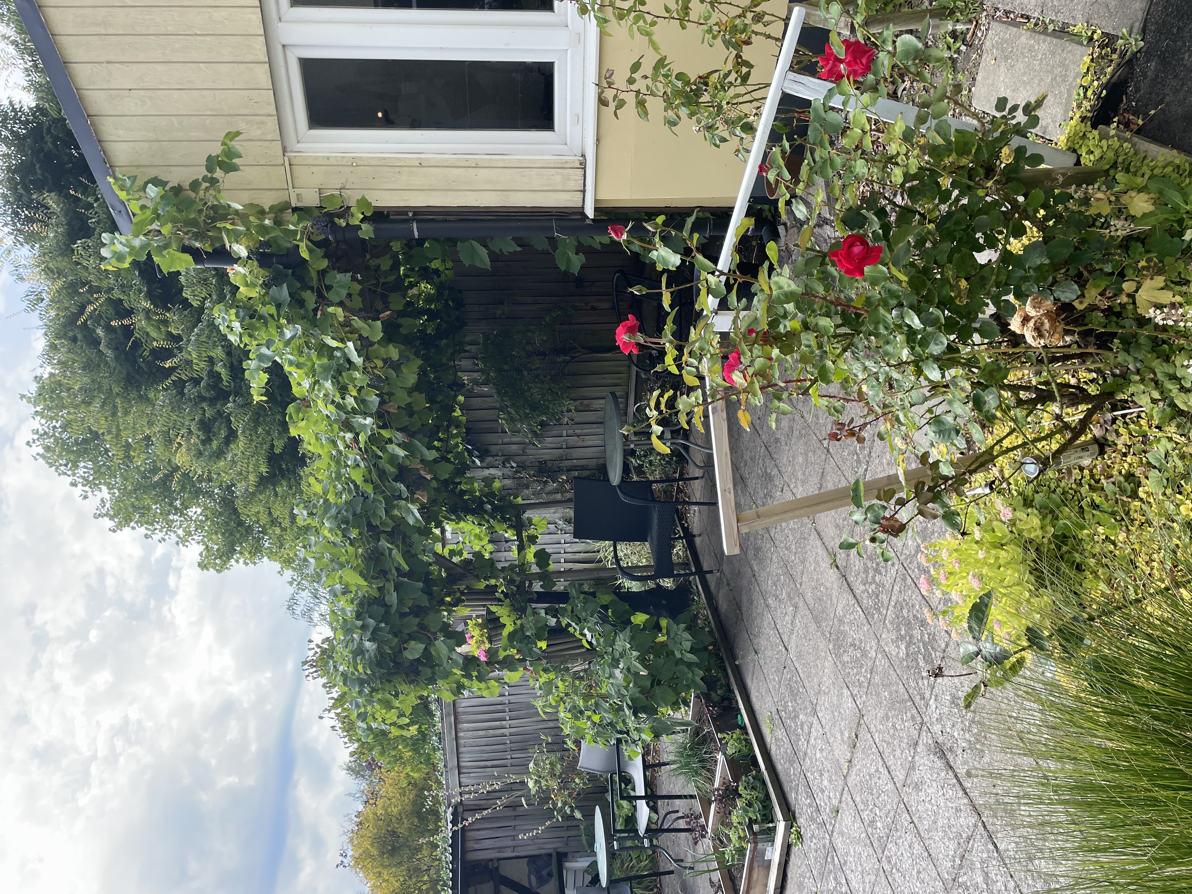 Wemmenhögsgatan 20 — bild 2