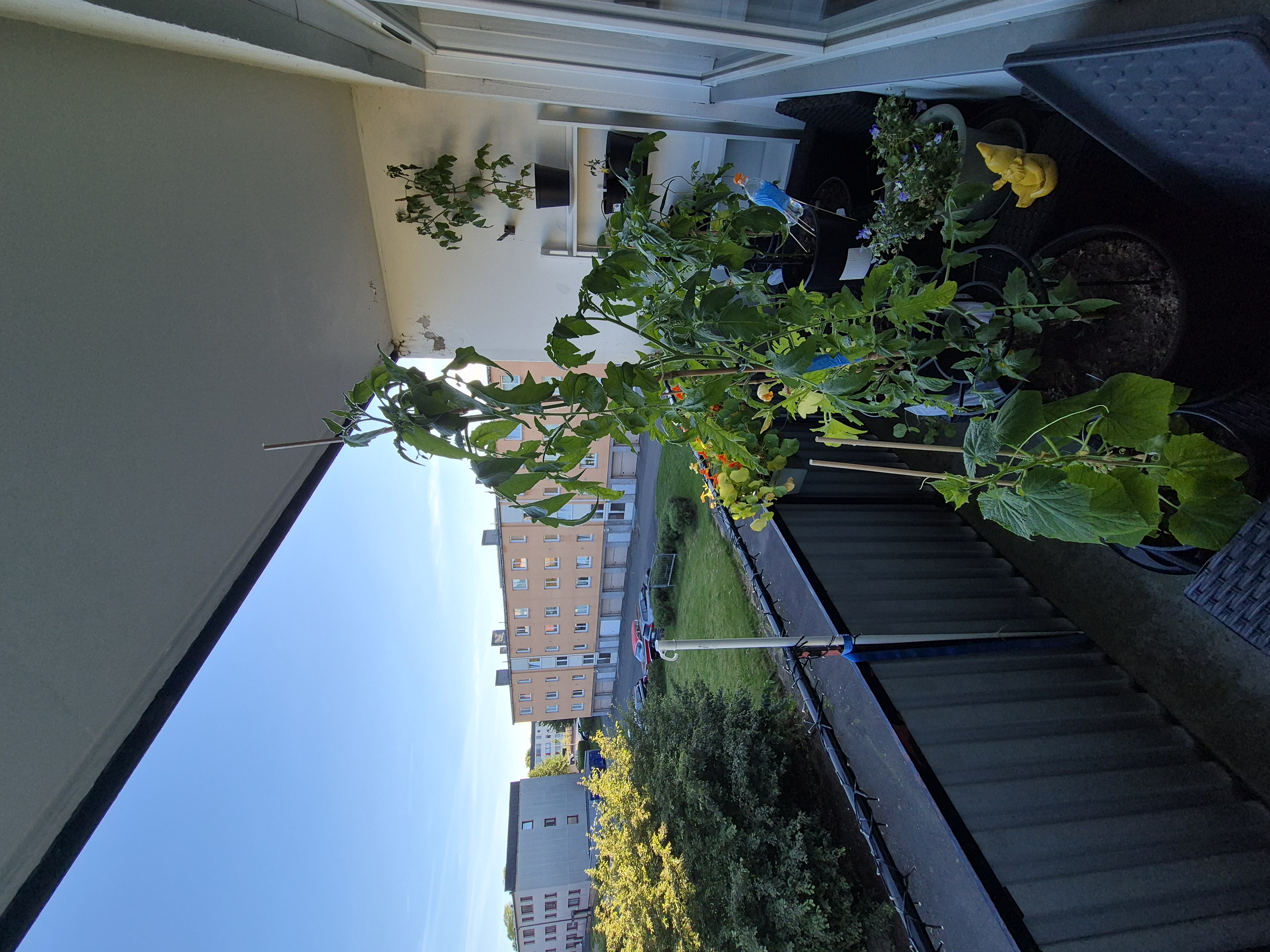 Esplanadgatan 6b — bild 1