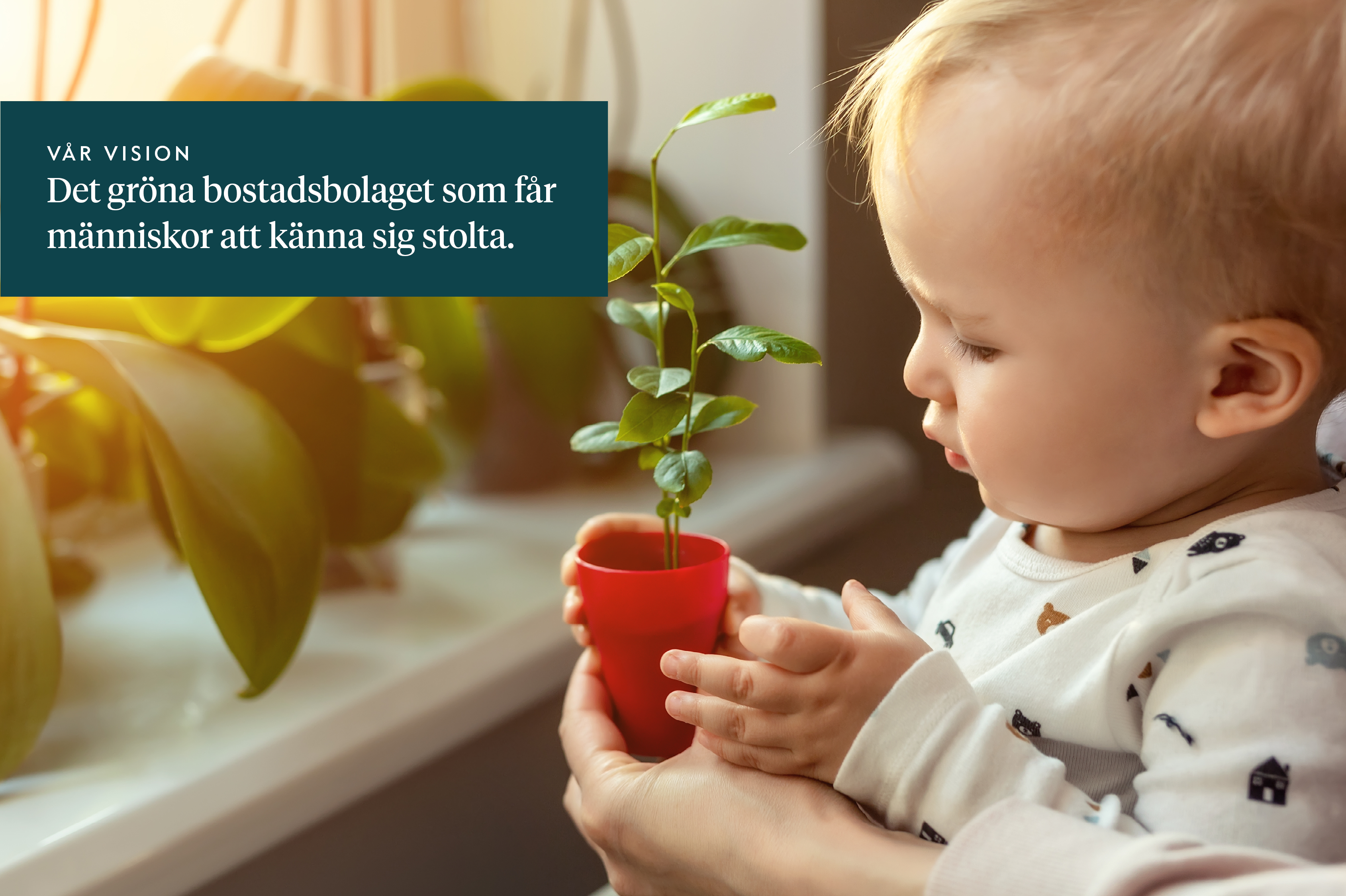 Myggbogatan 6 — bild 5