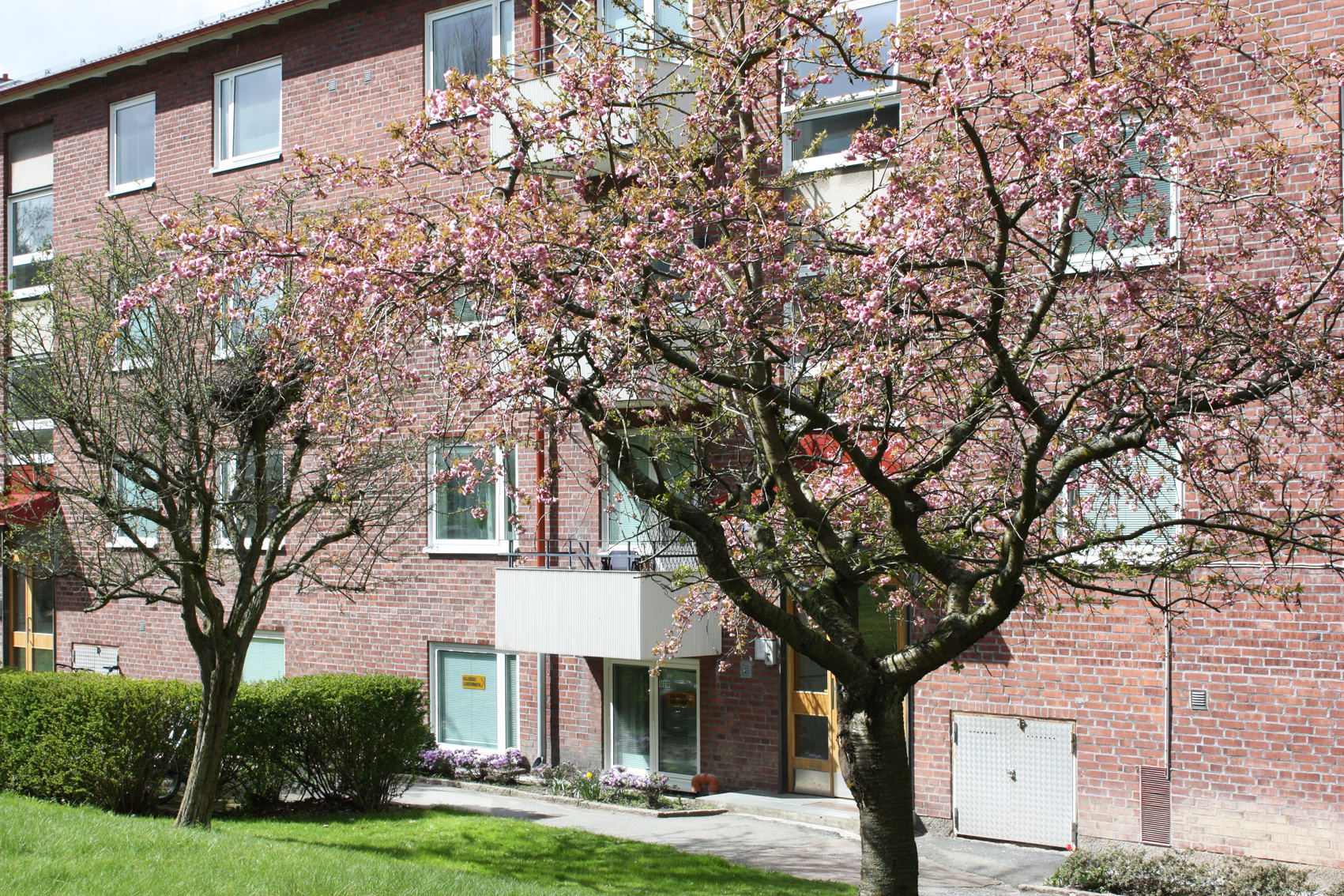 Smörgatan 8 — bild 2