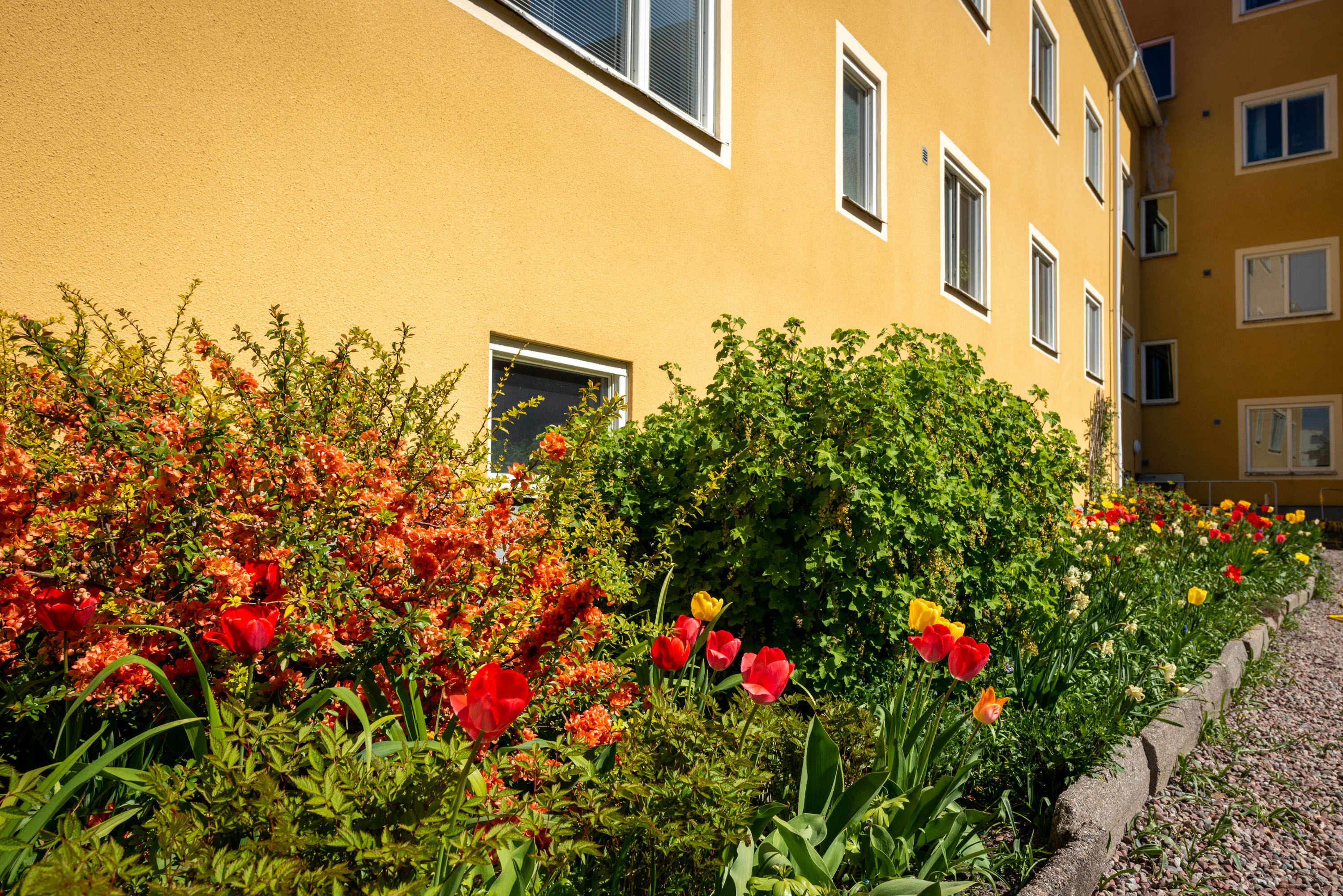 Köpmangatan 43 — bild 2