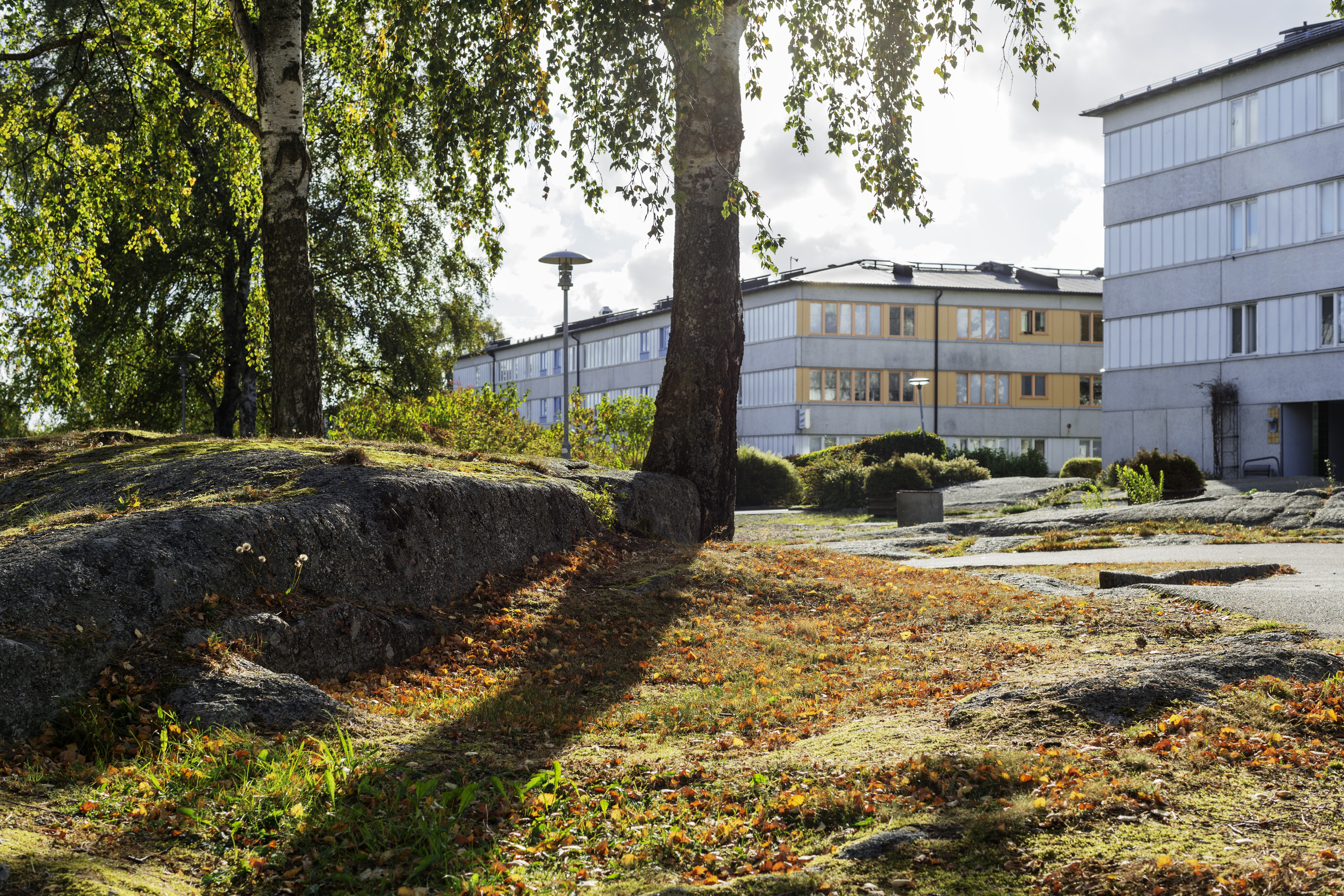Pennygången 11