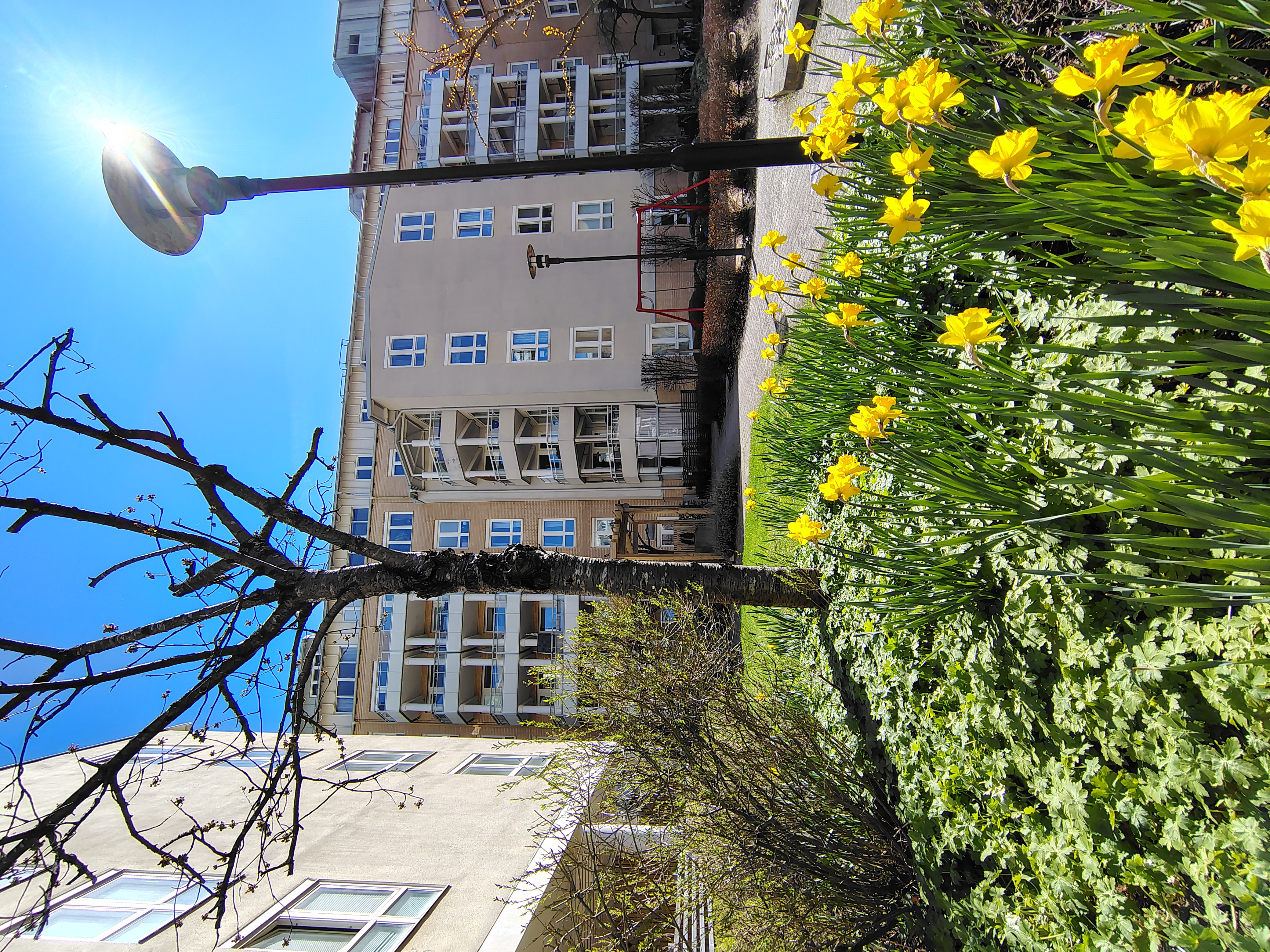 Kungsg 36 — bild 2