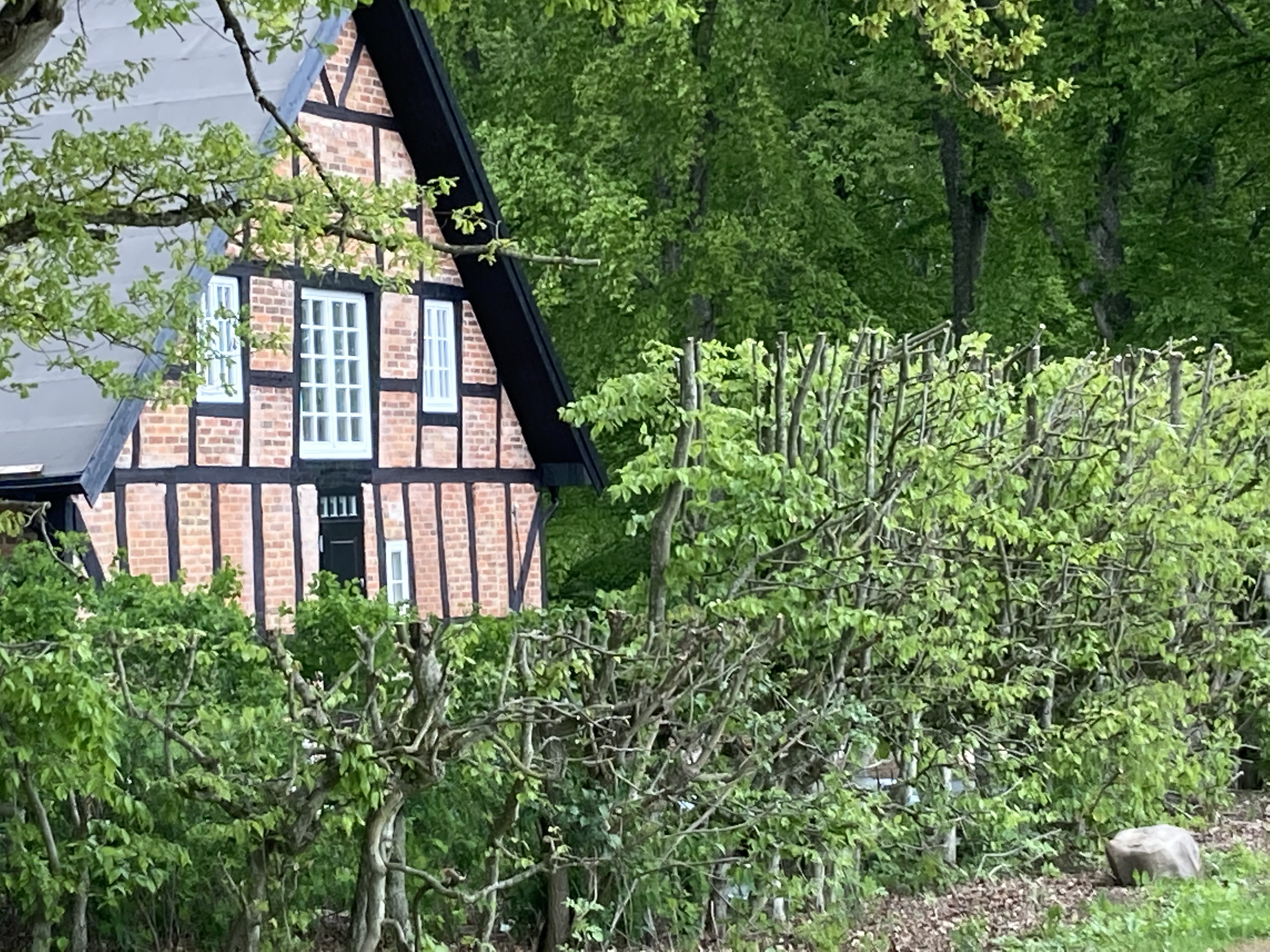 3 rum Eslöv, 13 000 kr/mån | Bostadsögat