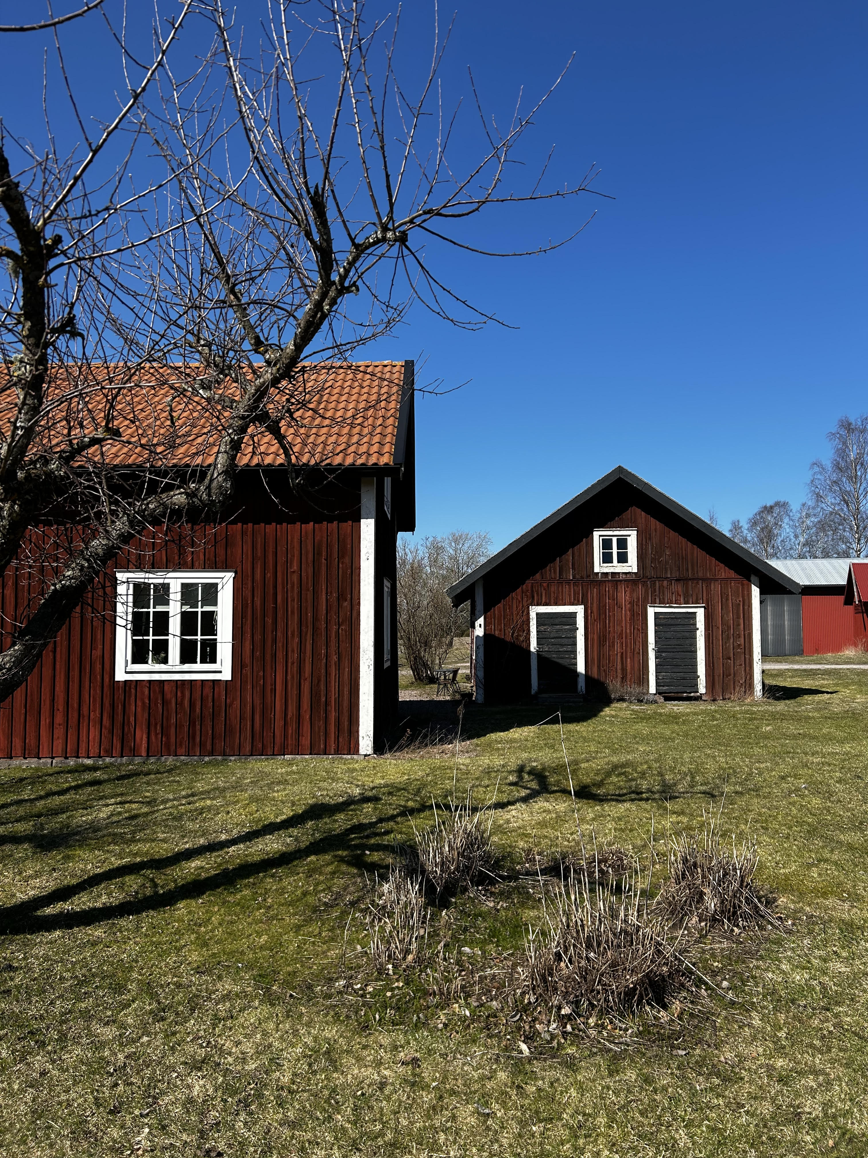 Tranvik 1 — bild 2