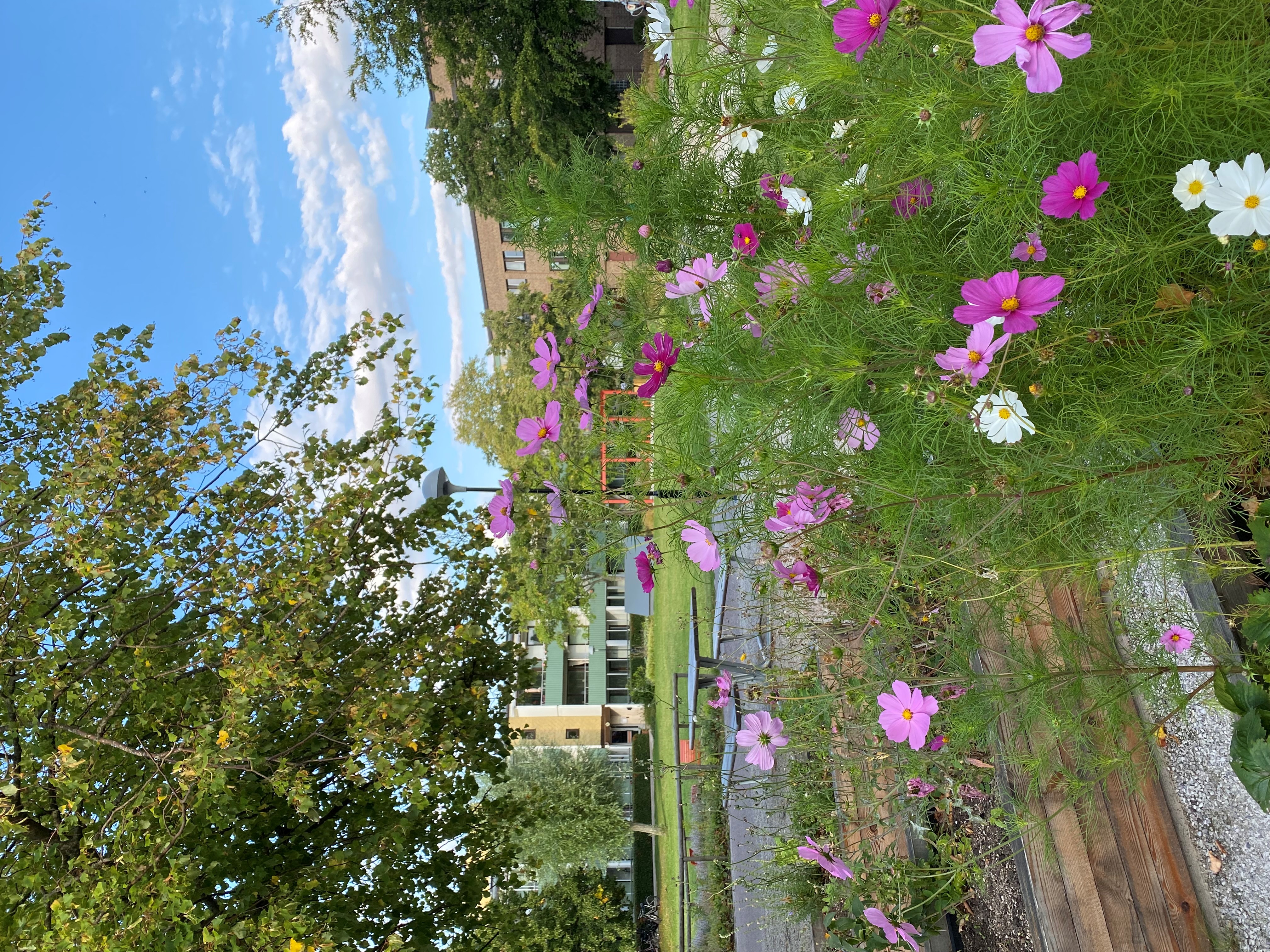 Hålsjögatan 41 — bild 2