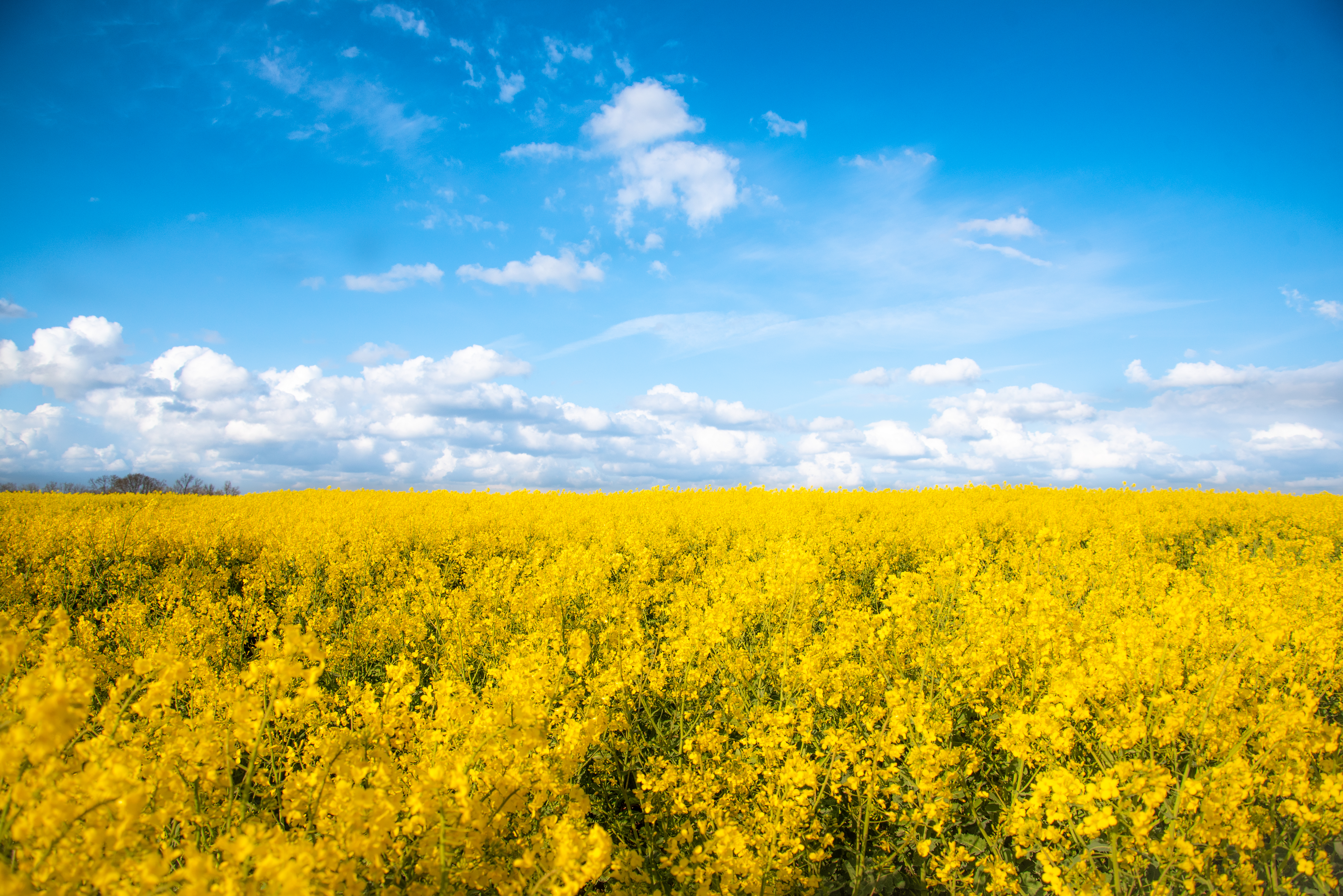 Bakgrundsbild som representerar Kupolen Fastigheter