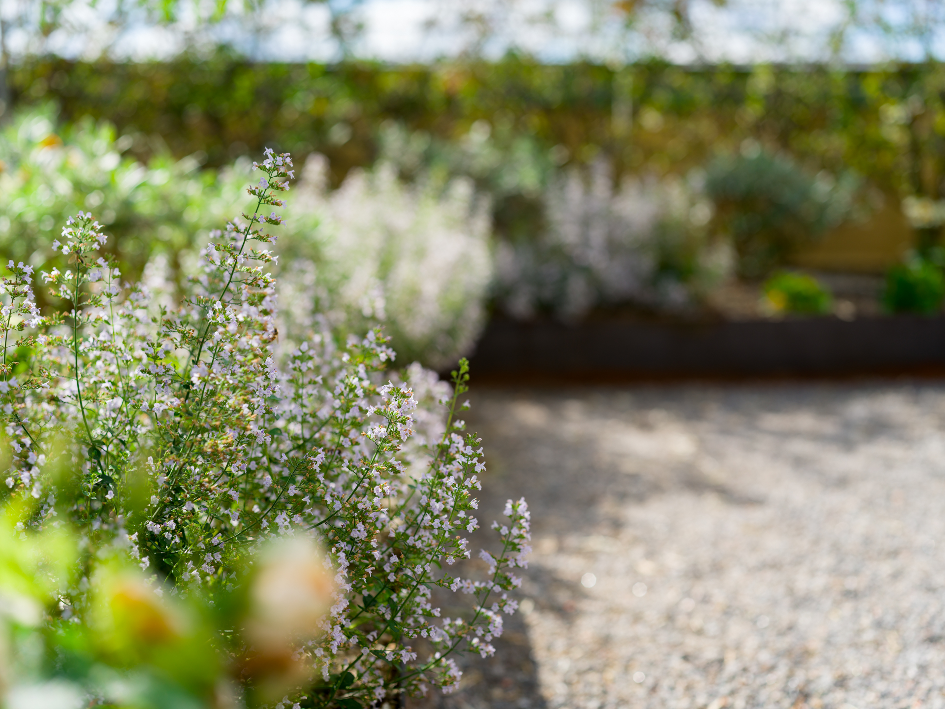 Bakgrundsbild som representerar Bonnier Fastigheter