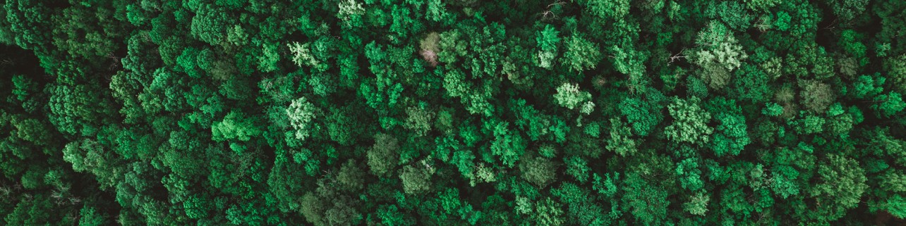 Bakgrundsbild som representerar Enkla Hem