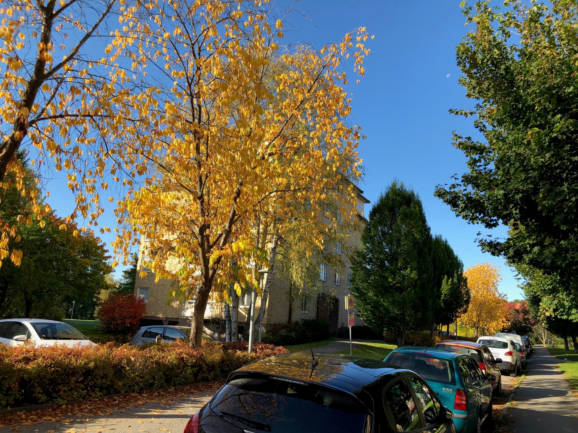 Hästhovsgatan 12 — bild 3
