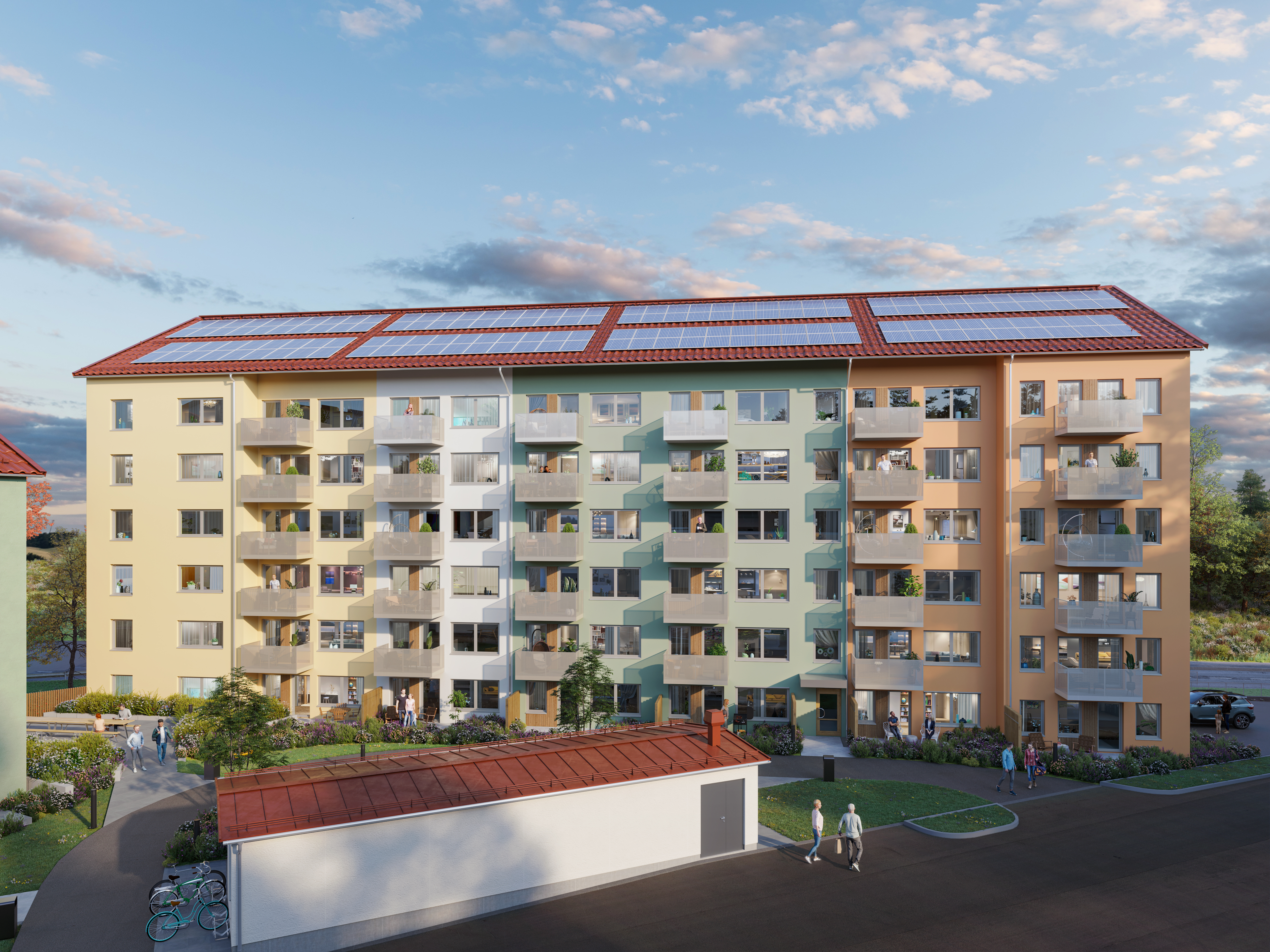 Gullviva - Knivsta — bild 2