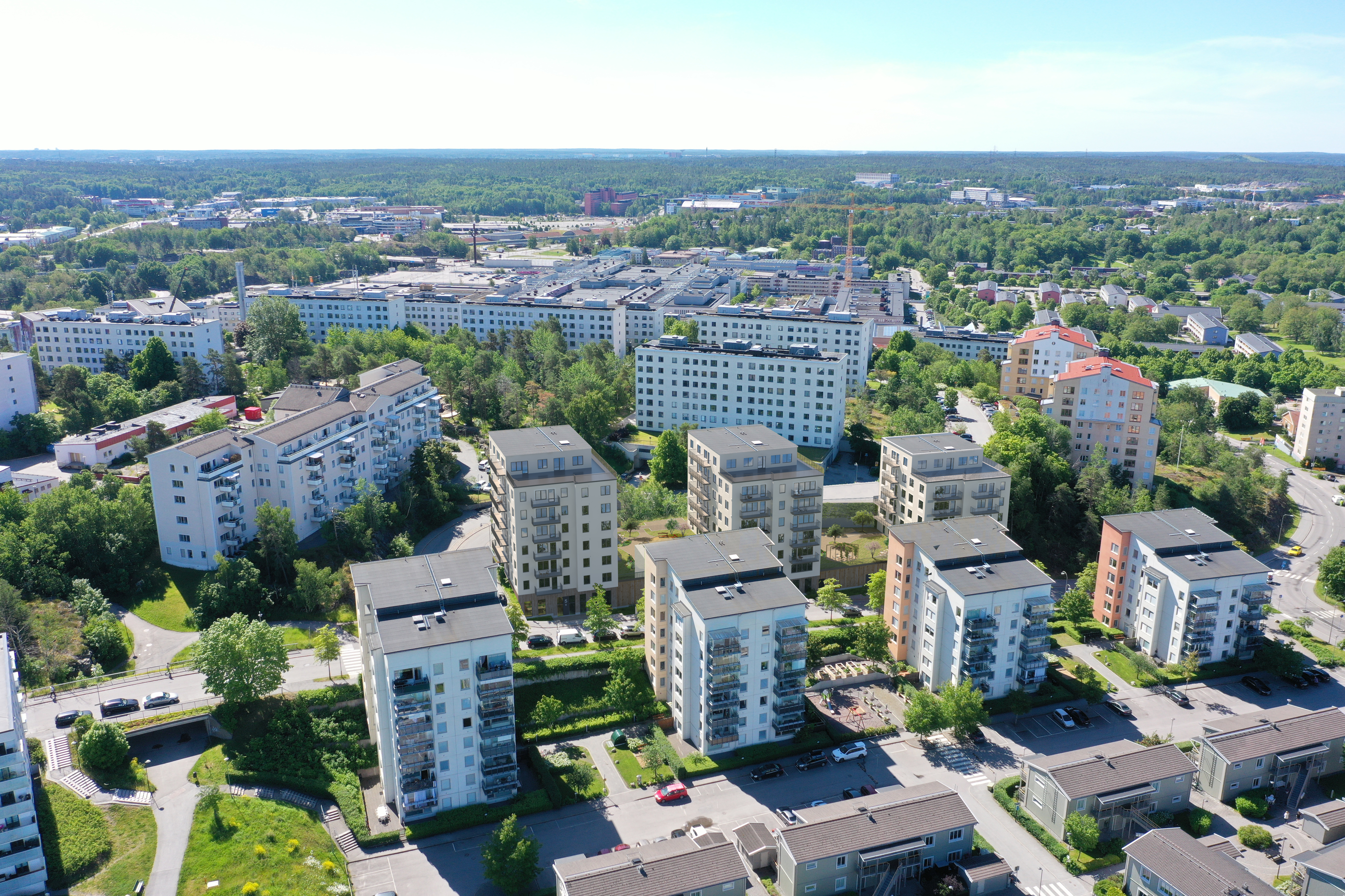 Ekslingan — bild 2
