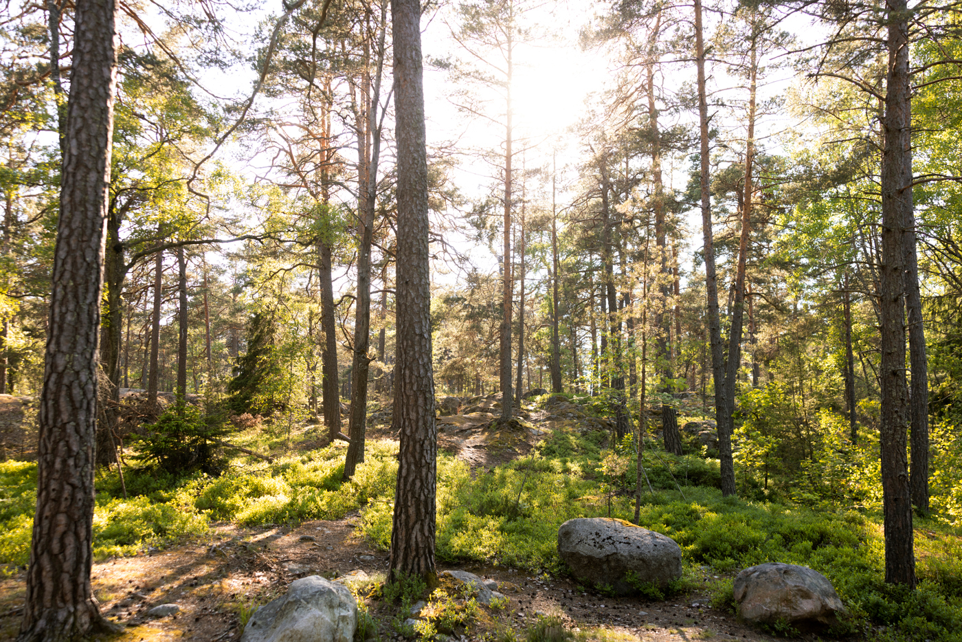 Södergården — bild 5